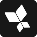 AppsFlyer MCP logo