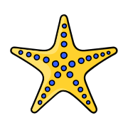 DBHub logo