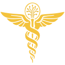 Hermes One logo